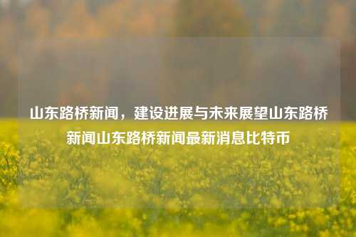 山东路桥新闻，建设进展与未来展望山东路桥新闻山东路桥新闻最新消息比特币