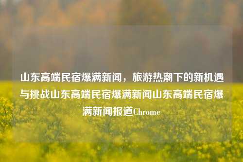 山东高端民宿爆满新闻，旅游热潮下的新机遇与挑战山东高端民宿爆满新闻山东高端民宿爆满新闻报道Chrome