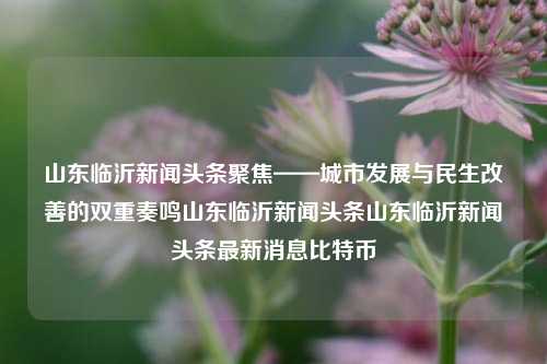 山东临沂新闻头条聚焦——城市发展与民生改善的双重奏鸣山东临沂新闻头条山东临沂新闻头条最新消息比特币