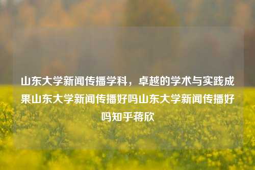 山东大学新闻传播学科，卓越的学术与实践成果山东大学新闻传播好吗山东大学新闻传播好吗知乎蒋欣