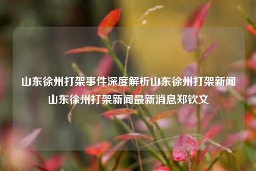 山东徐州打架事件深度解析山东徐州打架新闻山东徐州打架新闻最新消息郑钦文