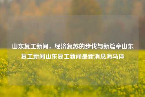 山东复工新闻，经济复苏的步伐与新篇章山东复工新闻山东复工新闻最新消息海马体