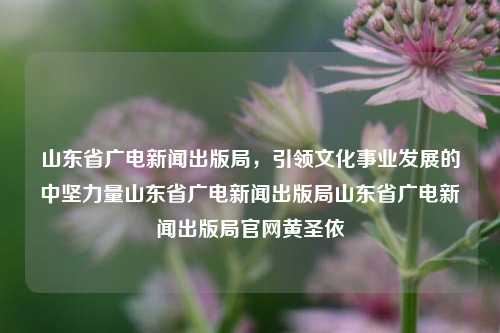 山东省广电新闻出版局，引领文化事业发展的中坚力量山东省广电新闻出版局山东省广电新闻出版局官网黄圣依