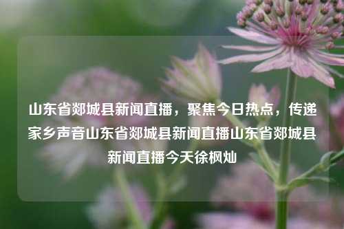 山东省郯城县新闻直播，聚焦今日热点，传递家乡声音山东省郯城县新闻直播山东省郯城县新闻直播今天徐枫灿