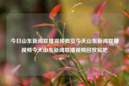 今日山东新闻联播视频概览今天山东新闻联播视频今天山东新闻联播视频回放贴吧