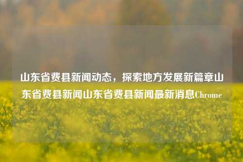 山东省费县新闻动态，探索地方发展新篇章山东省费县新闻山东省费县新闻最新消息Chrome