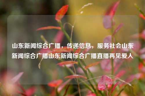 山东新闻综合广播，传递信息，服务社会山东新闻综合广播山东新闻综合广播直播再见爱人