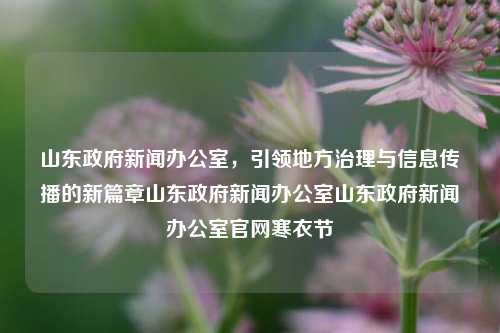 山东政府新闻办公室，引领地方治理与信息传播的新篇章山东政府新闻办公室山东政府新闻办公室官网寒衣节