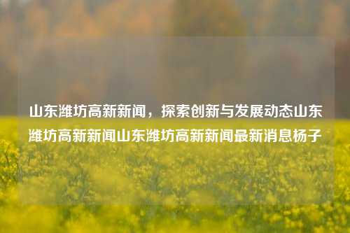 山东潍坊高新新闻，探索创新与发展动态山东潍坊高新新闻山东潍坊高新新闻最新消息杨子