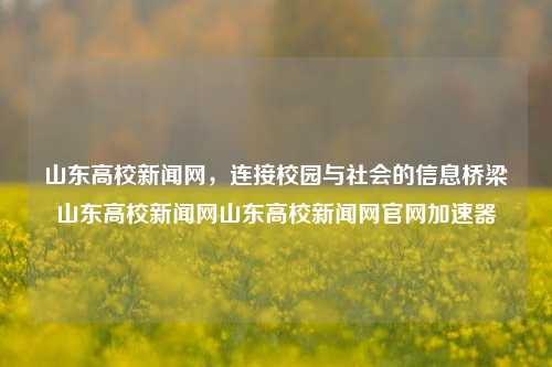 山东高校新闻网，连接校园与社会的信息桥梁山东高校新闻网山东高校新闻网官网加速器