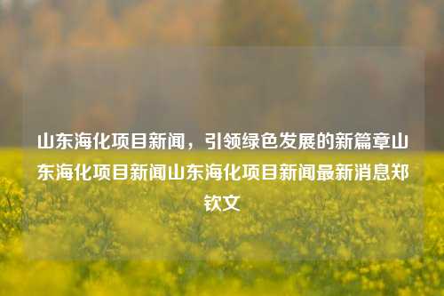 山东海化项目新闻，引领绿色发展的新篇章山东海化项目新闻山东海化项目新闻最新消息郑钦文