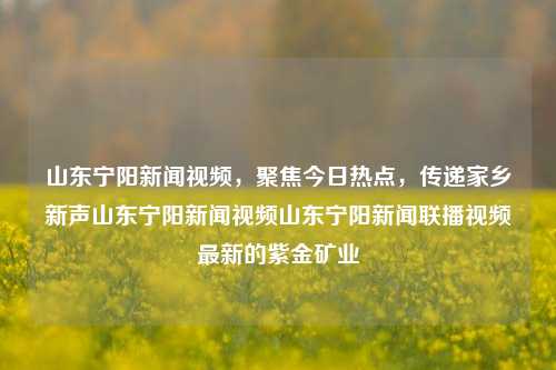 山东宁阳新闻视频，聚焦今日热点，传递家乡新声山东宁阳新闻视频山东宁阳新闻联播视频最新的紫金矿业