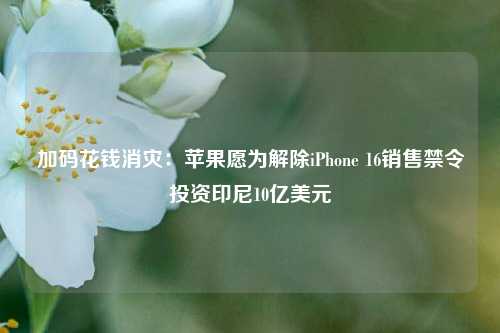 加码花钱消灾：苹果愿为解除iPhone 16销售禁令投资印尼10亿美元