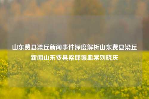 山东费县梁丘新闻事件深度解析山东费县梁丘新闻山东费县梁邱镇血案刘晓庆