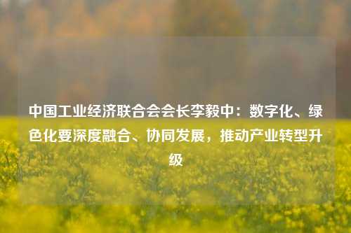 中国工业经济联合会会长李毅中：数字化、绿色化要深度融合、协同发展，推动产业转型升级