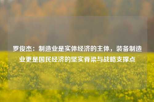 罗俊杰：制造业是实体经济的主体，装备制造业更是国民经济的坚实脊梁与战略支撑点