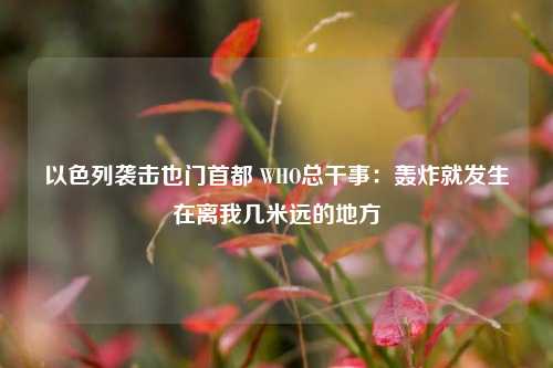 以色列袭击也门首都 WHO总干事：轰炸就发生在离我几米远的地方