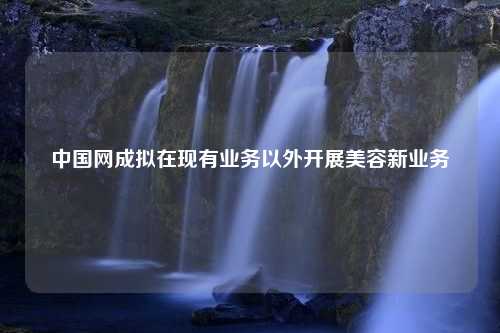 中国网成拟在现有业务以外开展美容新业务