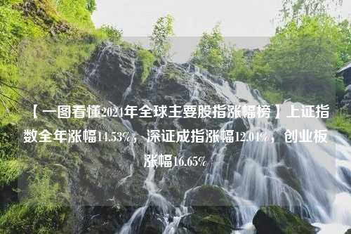 【一图看懂2024年全球主要股指涨幅榜】上证指数全年涨幅14.53%，深证成指涨幅12.04%，创业板涨幅16.65%