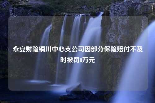 永安财险铜川中心支公司因部分保险赔付不及时被罚8万元