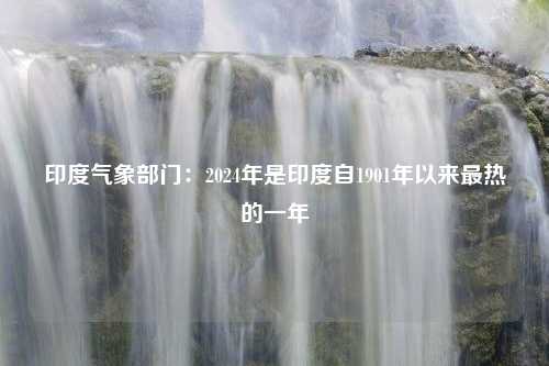 印度气象部门：2024年是印度自1901年以来最热的一年