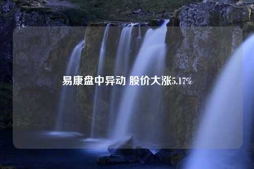 易康盘中异动 股价大涨5.17%