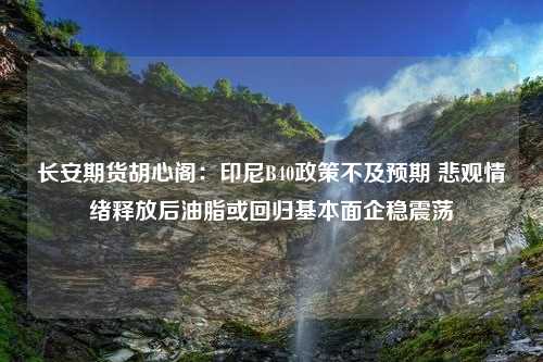 长安期货胡心阁：印尼B40政策不及预期 悲观情绪释放后油脂或回归基本面企稳震荡