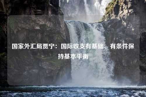 国家外汇局贾宁：国际收支有基础、有条件保持基本平衡