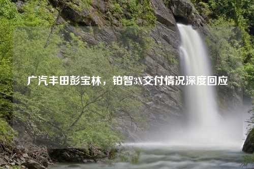 广汽丰田彭宝林，铂智3X交付情况深度回应