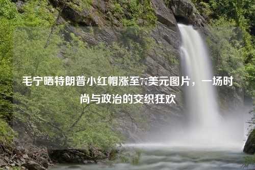 毛宁晒特朗普小红帽涨至77美元图片，一场时尚与政治的交织狂欢