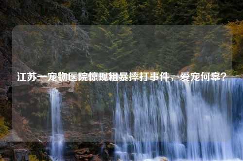 江苏一宠物医院惊现粗暴摔打事件，爱宠何辜？