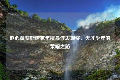 赵心童获斯诺克年度最佳表现奖，天才少年的荣耀之路