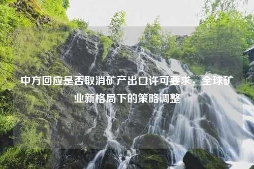 中方回应是否取消矿产出口许可要求，全球矿业新格局下的策略调整