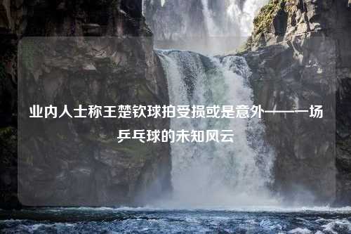 业内人士称王楚钦球拍受损或是意外——一场乒乓球的未知风云