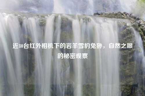近80台红外相机下的岩羊雪豹兔狲，自然之眼的秘密观察