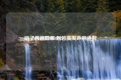 唱了两遍后来 刘若英发声明道歉