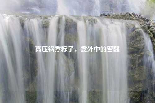高压锅煮粽子，意外中的警醒
