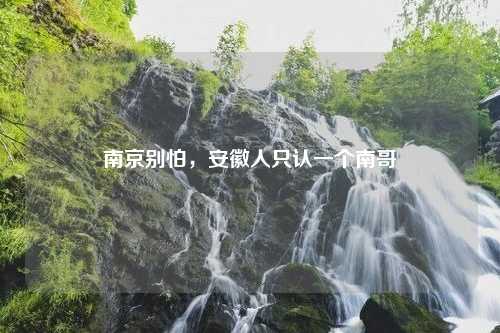 南京别怕，安徽人只认一个南哥