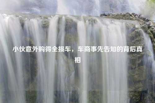 小伙意外购得全损车，车商事先告知的背后真相